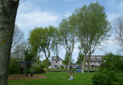 Langedijk