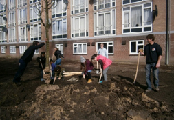 Herinrichting Borrendammerbuurt