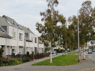 Beter te beheren openbaar groen in Purmerend. Buiten de Perken adviesbureau groenbeleid en groenbeheer.