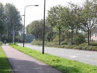 Efficiënt onderhoud groen in Purmerend. Buiten de Perken adviesbureau groenbeleid en groenbeheer.