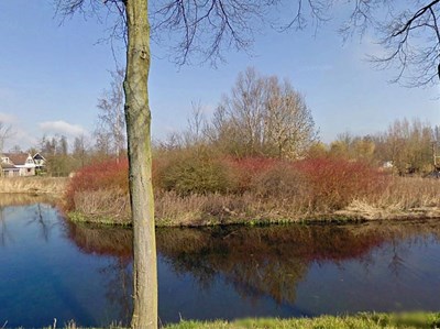 Typisch streefbeeld voor Langedijk: bosplantsoen op eilanden
